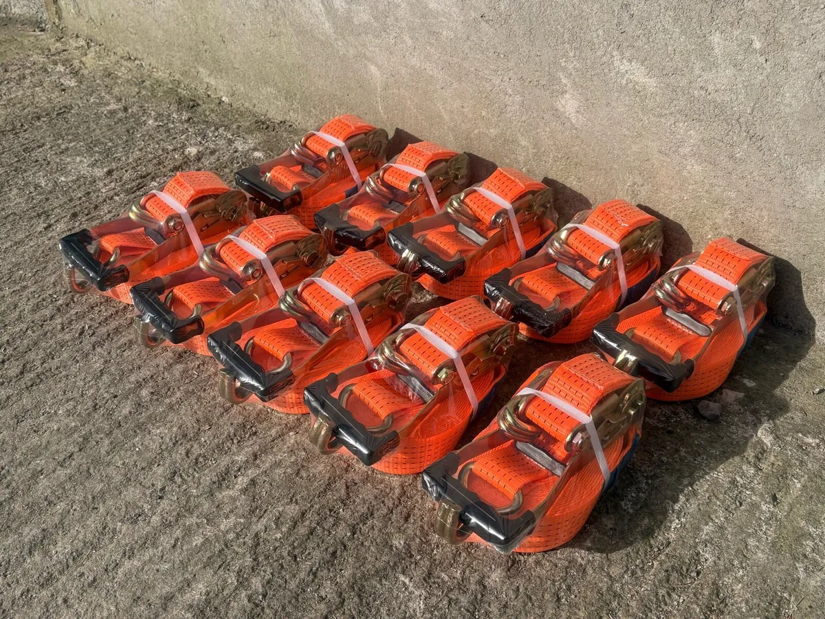 Ratchet Straps WHOLESALERS BUNDLE 10 PER PACK - Image 4