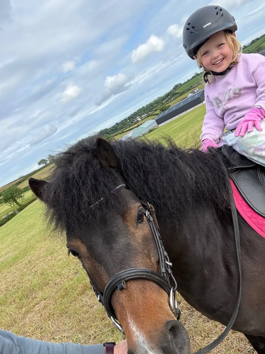 11.2 lead rein Pony - Image 1