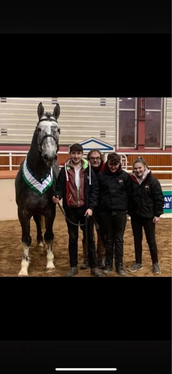 WRS SunShine @ stud - Image 1