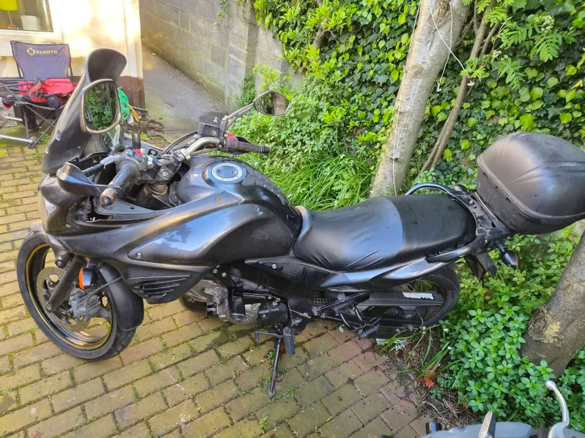 Suzuki vstrom 650 - Image 2