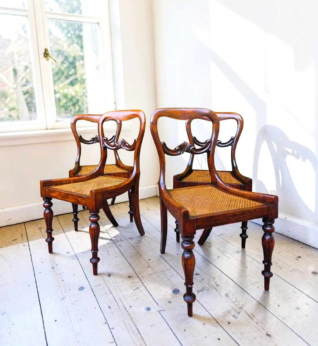 Georgian Rosewood Chairs- Circa 1835