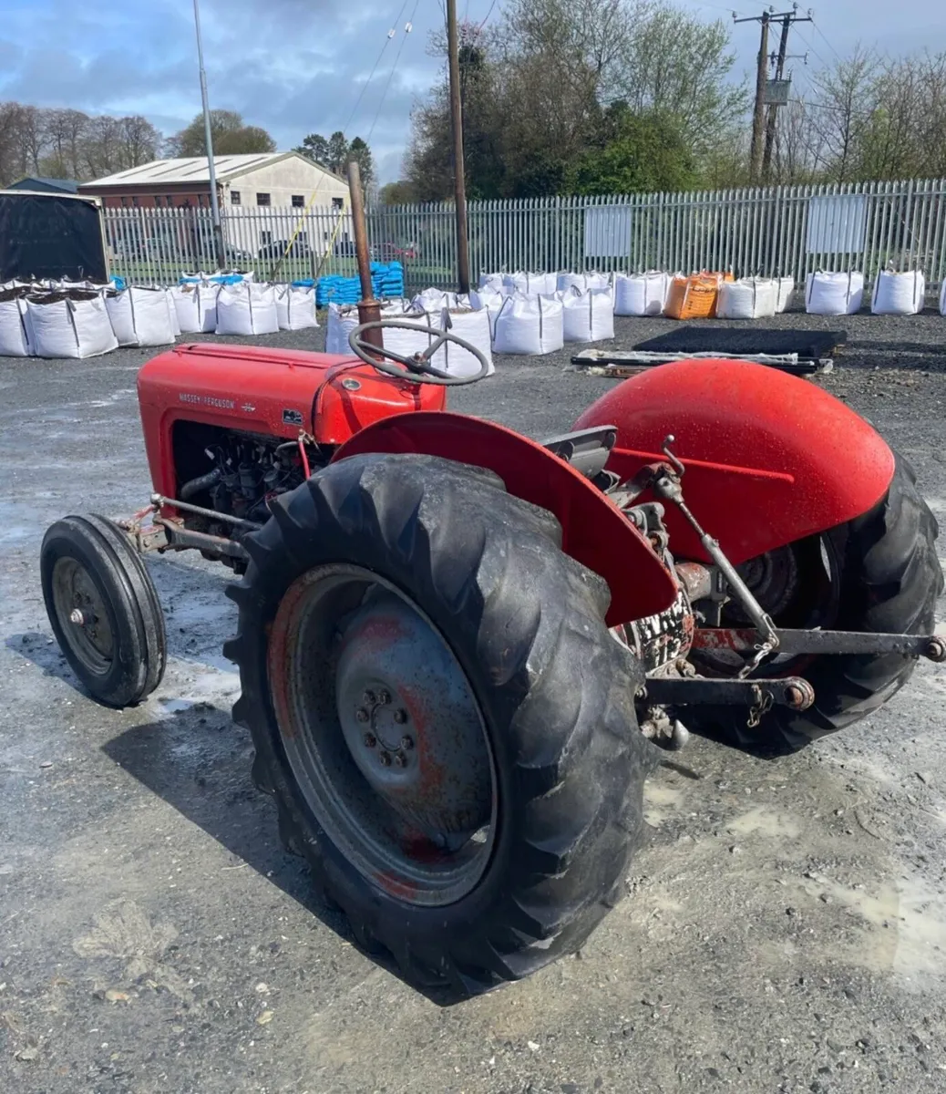 Massey Ferguson 35 TVO 1958 - Image 3