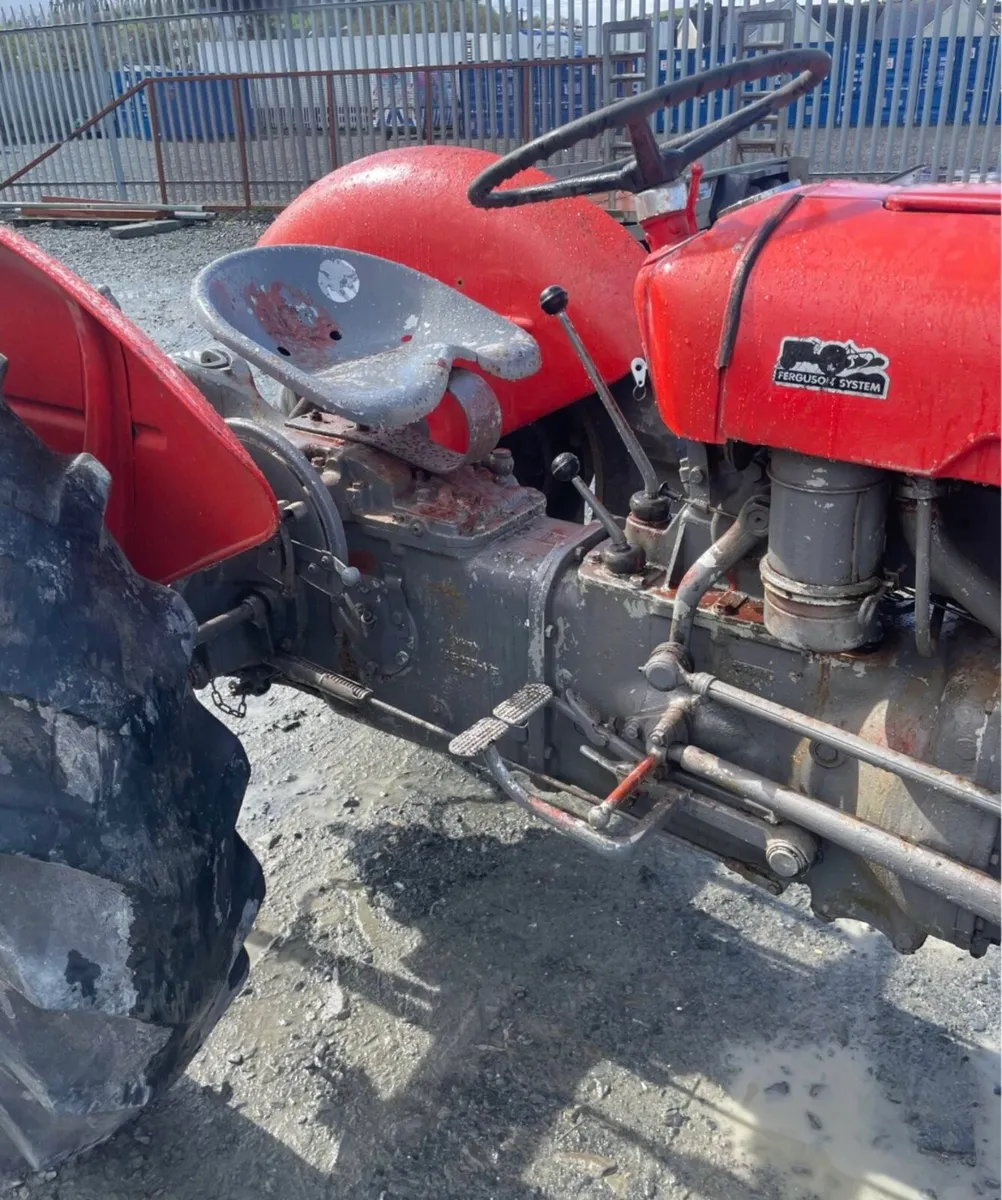 Massey Ferguson 35 TVO 1958 - Image 4