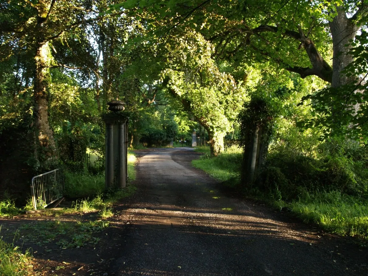 Olympus E-400 Kodak CCD🌈🎞️sensor DSLR camera - Image 3