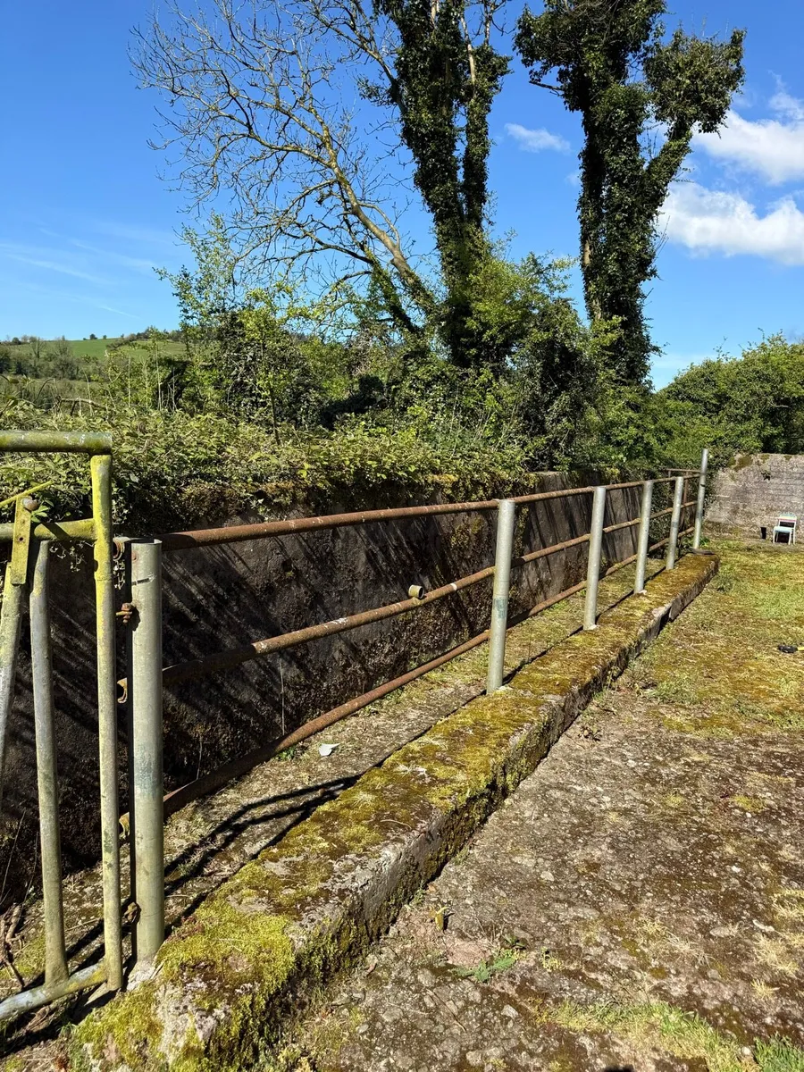 Cattle crush - Image 1