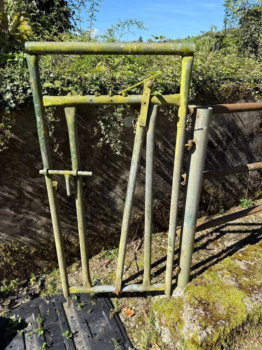 Cattle crush - Image 2