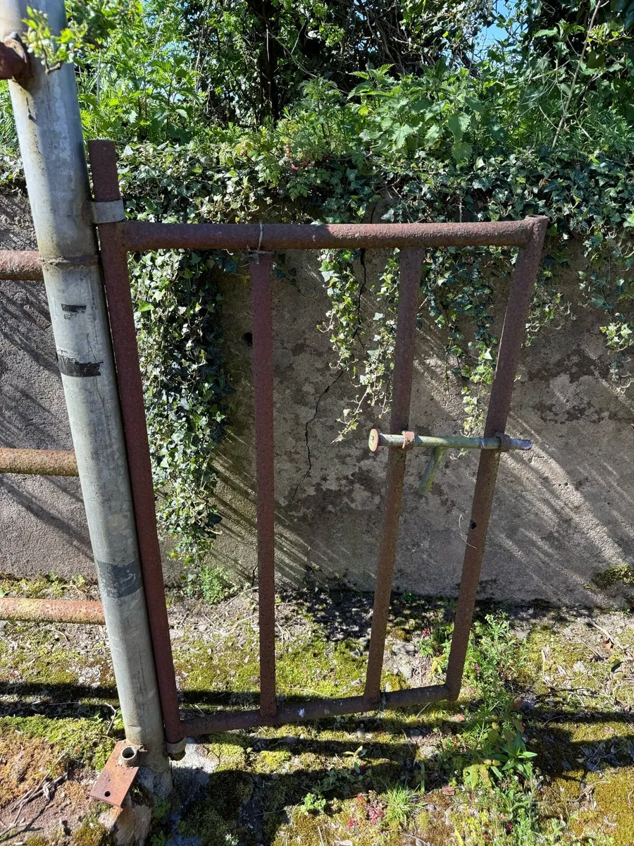 Cattle crush - Image 3