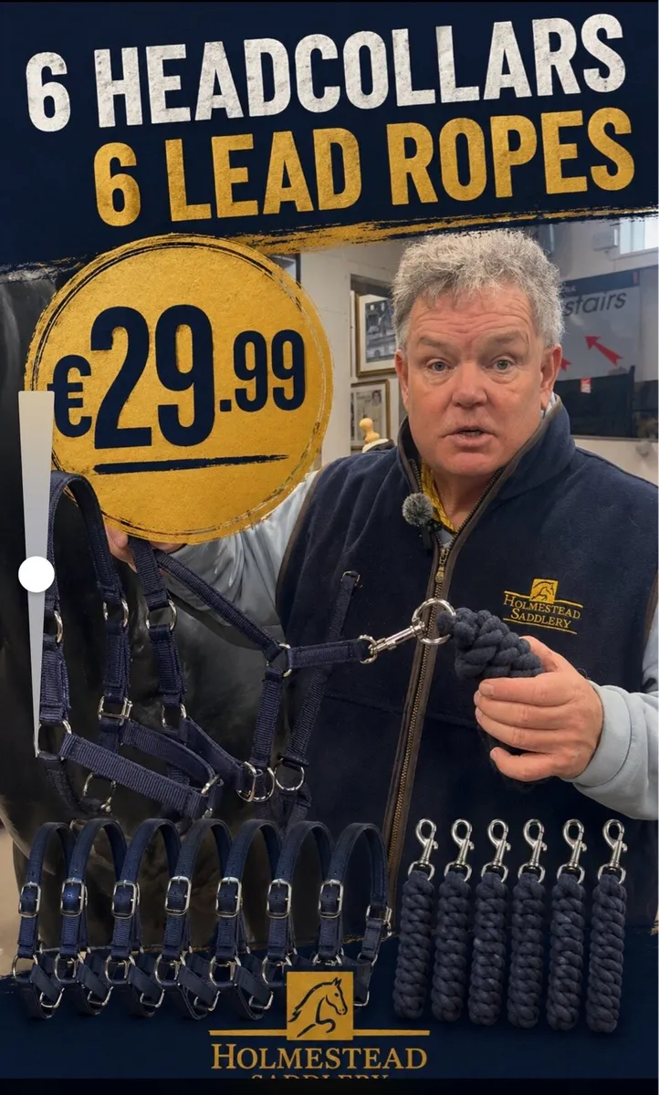 6 Headcollars 6 Lead ropes 6ft for €29.99 Holm - Image 1
