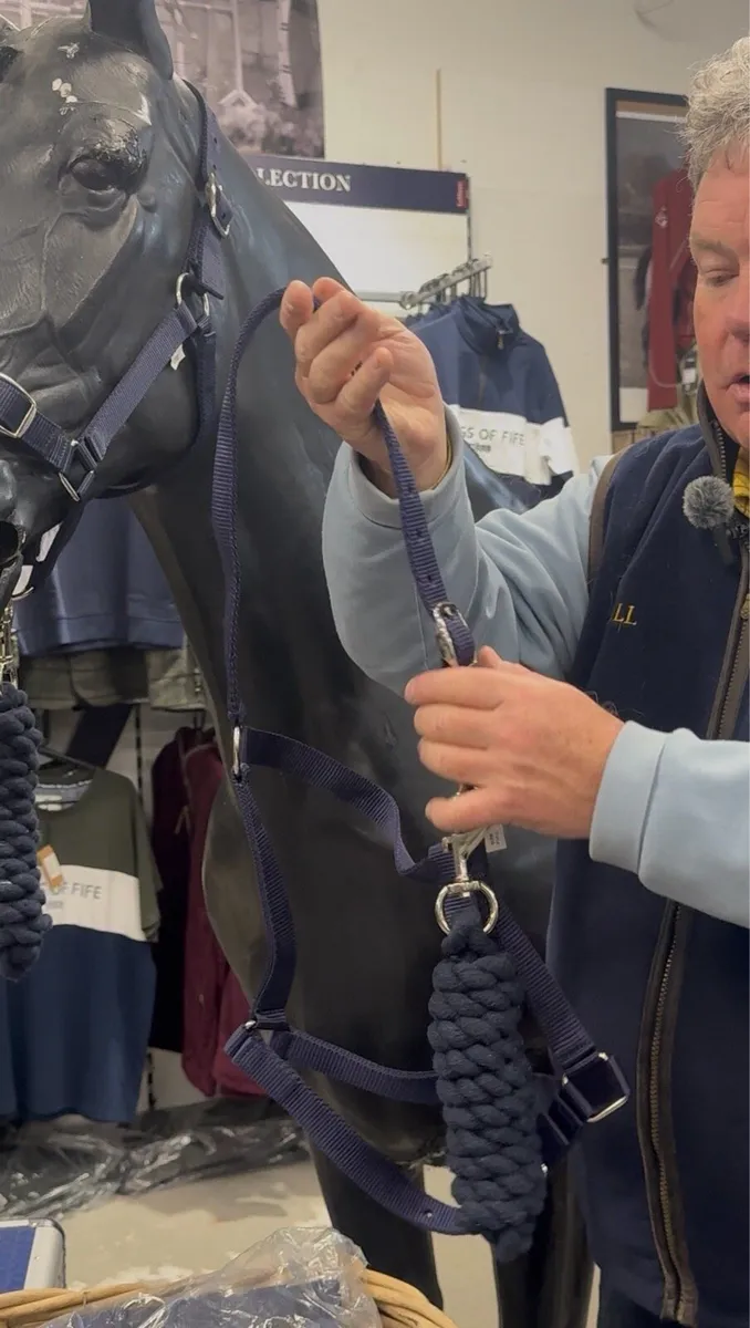 6 Headcollars 6 Lead ropes 6ft for €29.99 Holm - Image 2