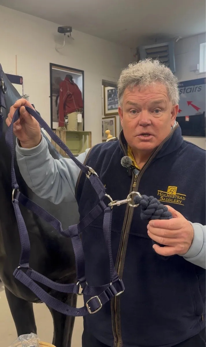 6 Headcollars 6 Lead ropes 6ft for €29.99 Holm - Image 3