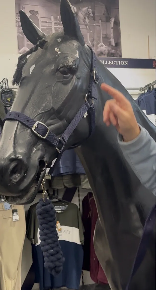 6 Headcollars 6 Lead ropes 6ft for €29.99 Holm - Image 4