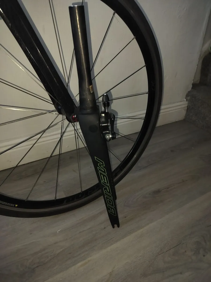 Adult bicycle - Image 2