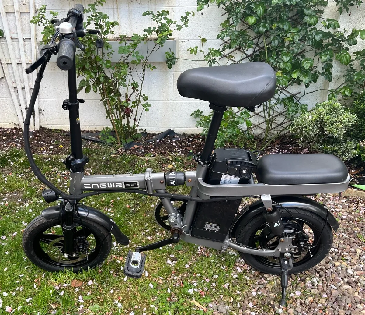 Electric bike - Image 1