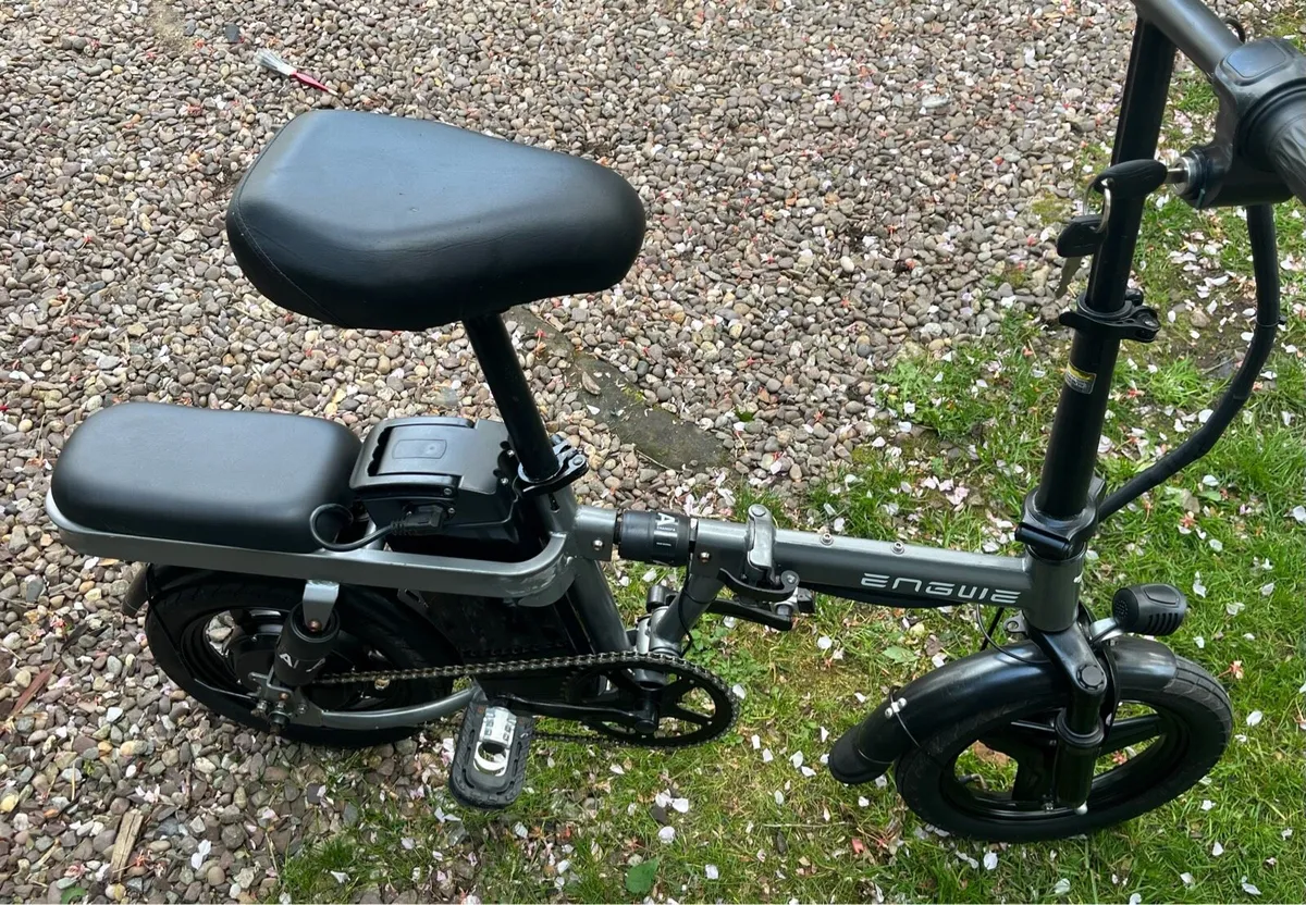 Electric bike - Image 2