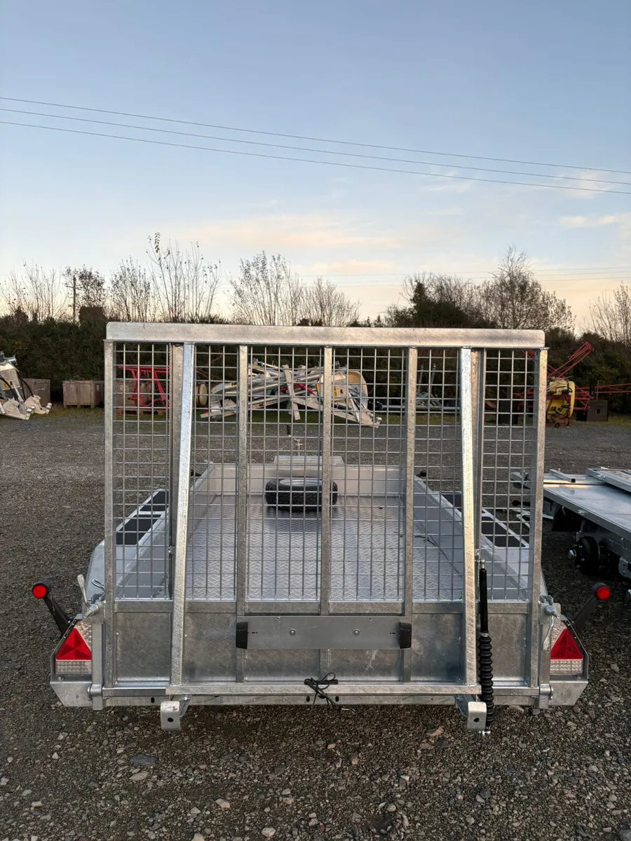 New Nugent Plant Trailer 12x6 - Image 3