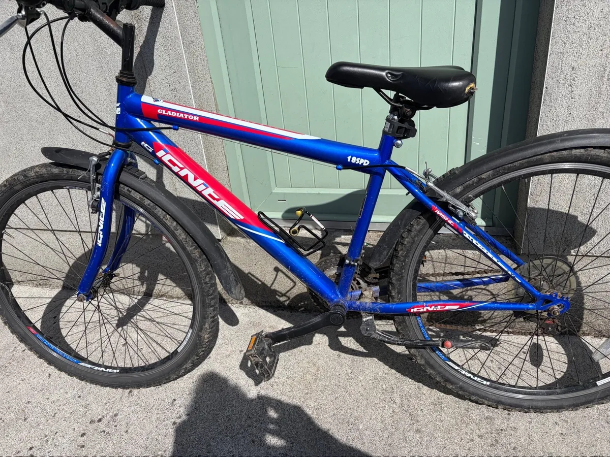 Bicycle - Image 1