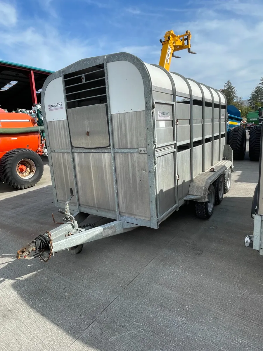 Nugent Tri Axle 12x6 LiveStock Trailer - Image 1