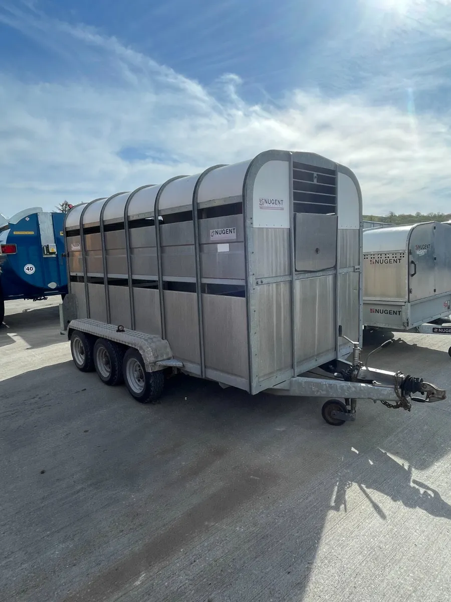 Nugent Tri Axle 12x6 LiveStock Trailer - Image 2