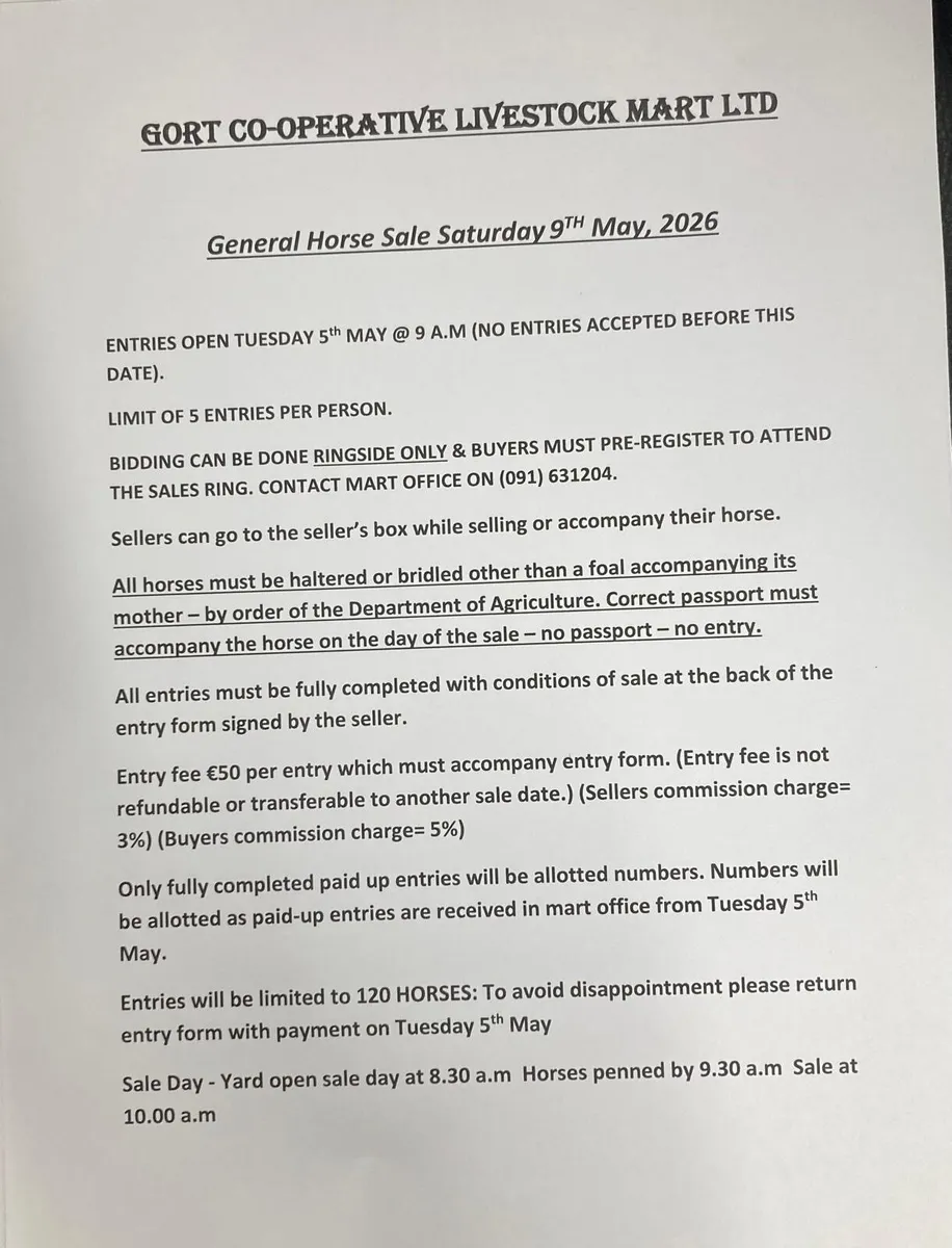 Gort Mart: Horse Sale 9th May - Image 3