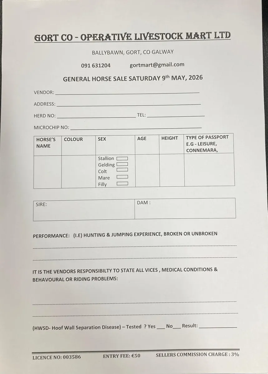 Gort Mart: Horse Sale 9th May - Image 1