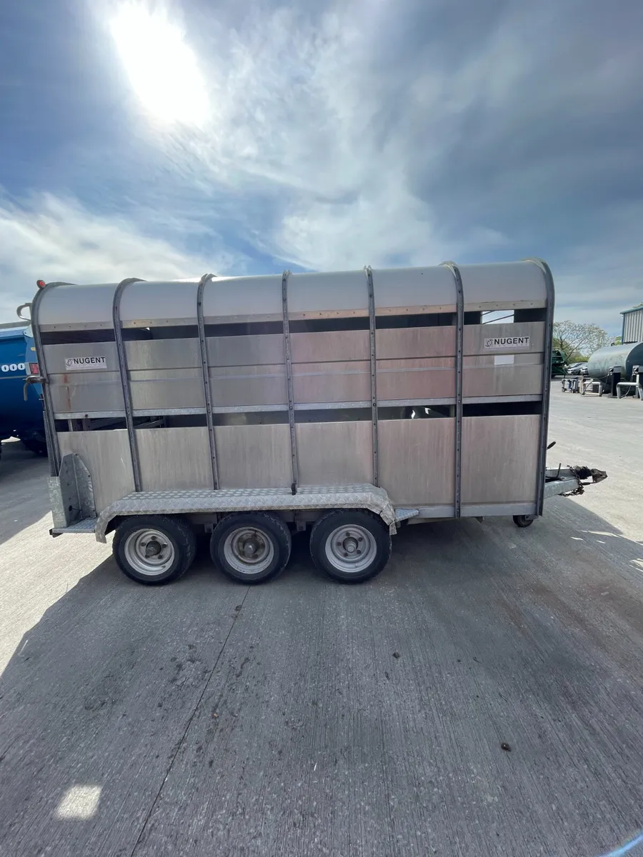 Nugent Tri Axle 12x6 LiveStock Trailer - Image 4