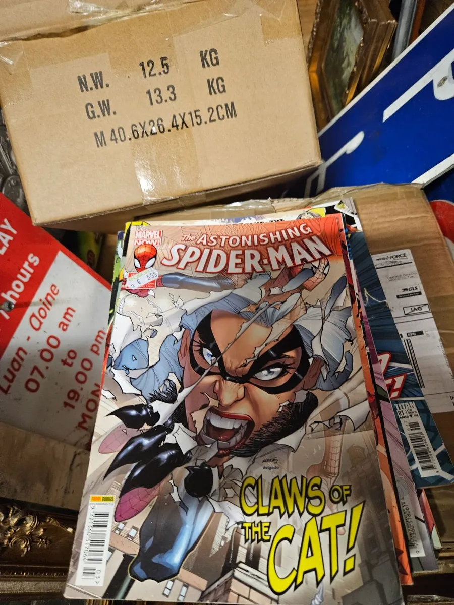 Spiderman Comic