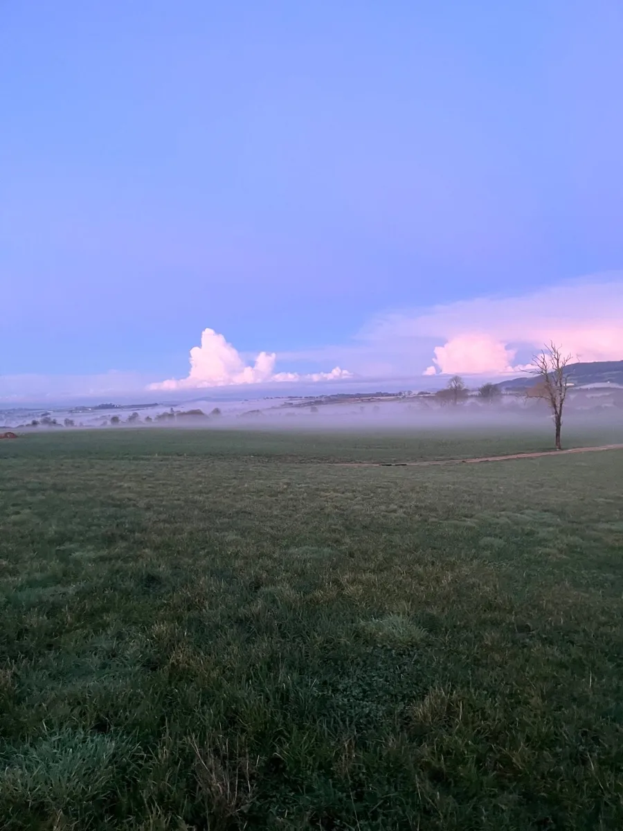 70 acres of grass to rent - Image 2