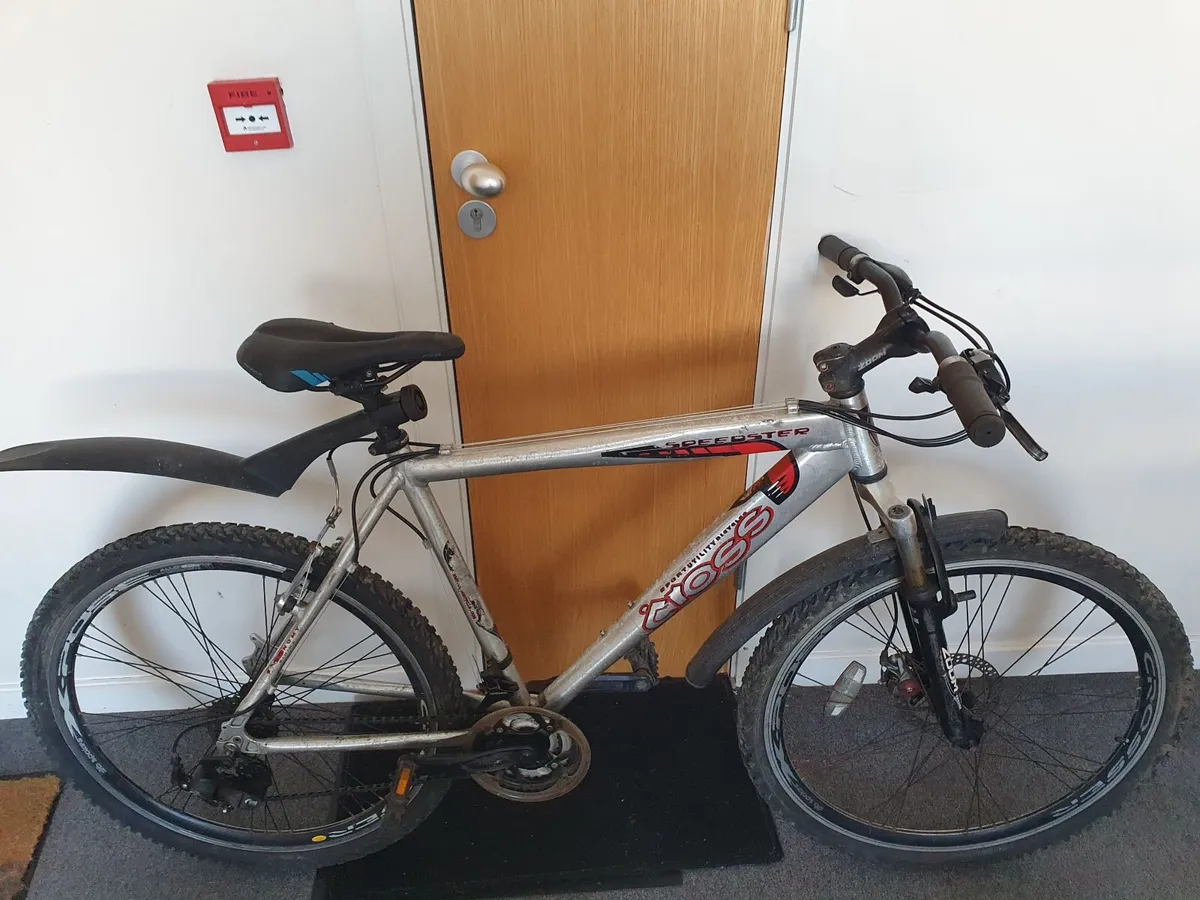 Mountain Bike - Image 1