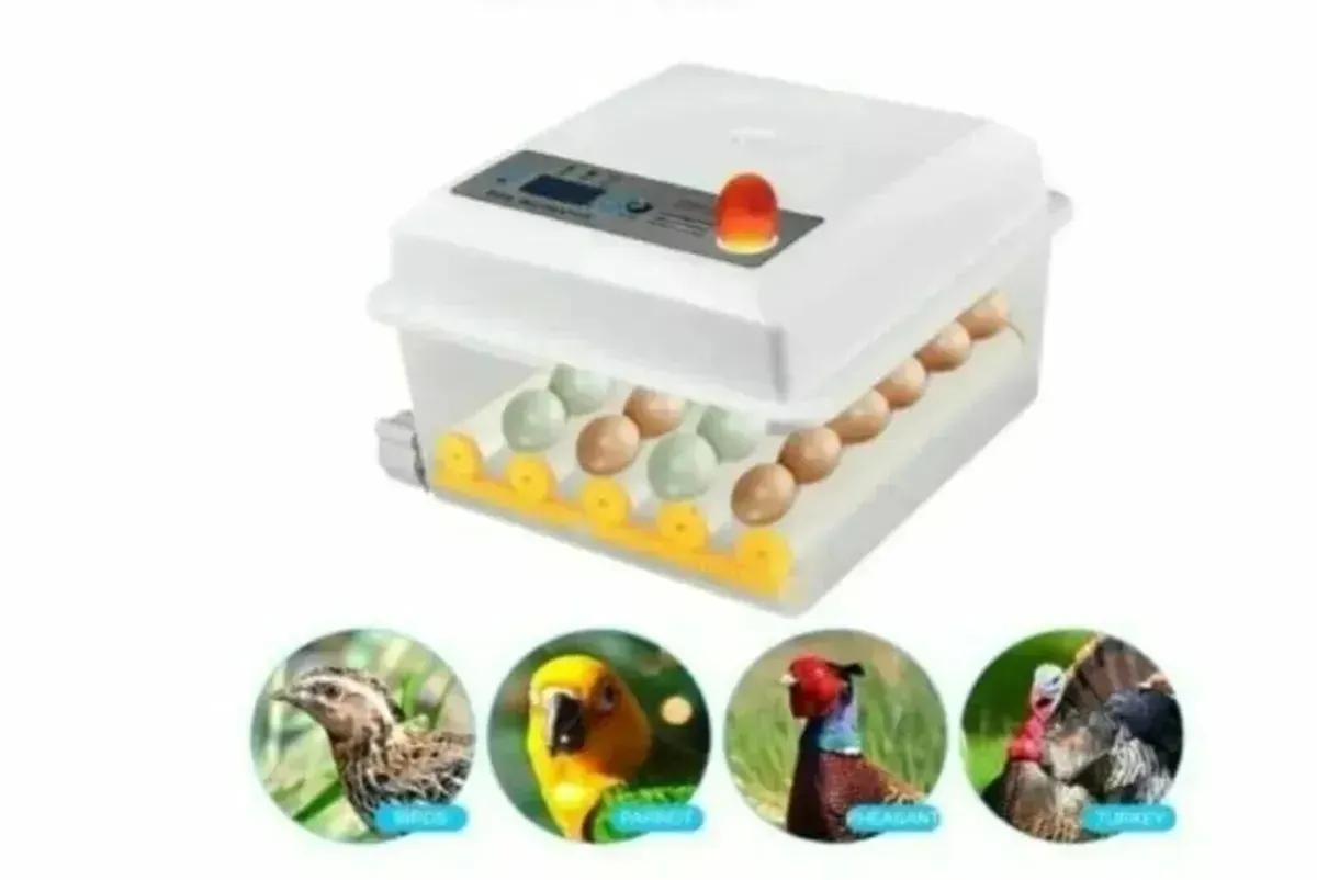 Automatic 16 Egg Incubator & Temperature Control - Image 3