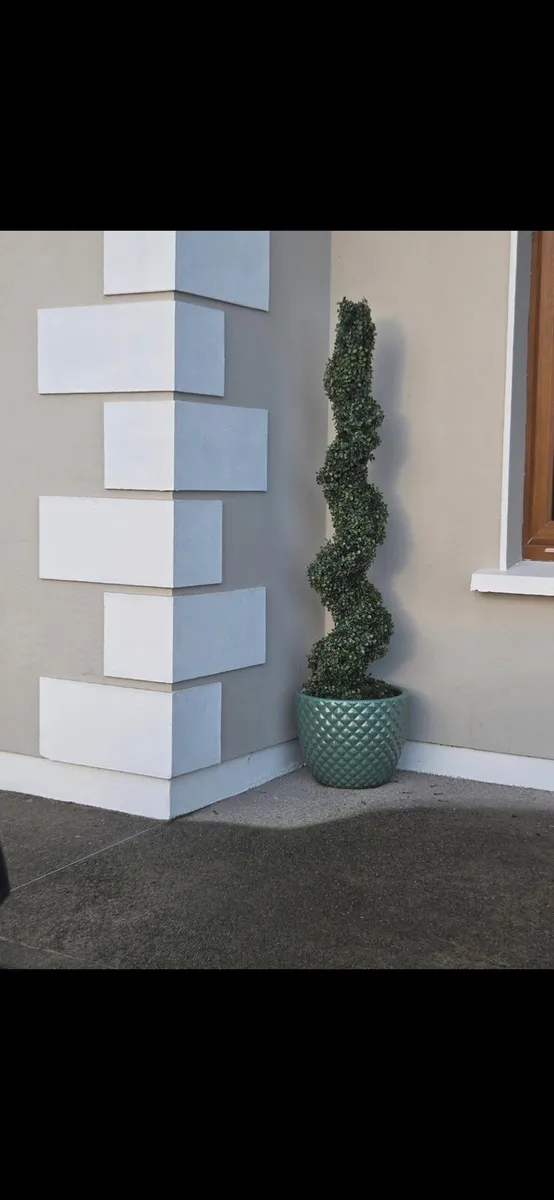 2 spiral outside trees - Image 1