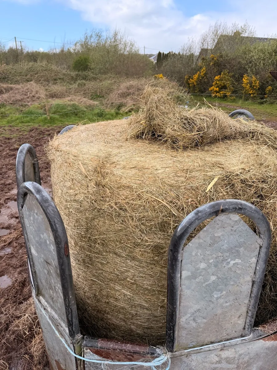 Haylage Bales - Image 2