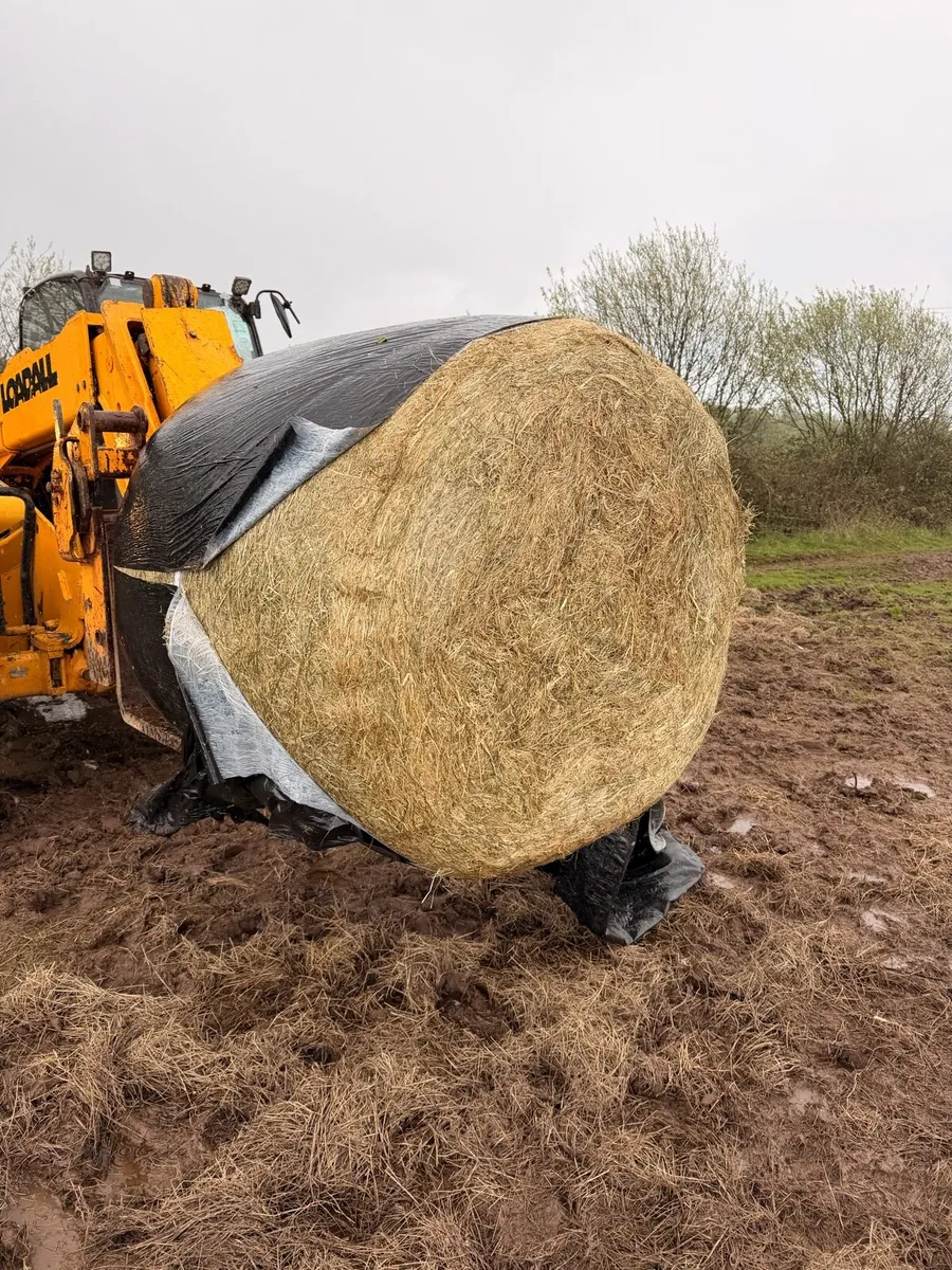 Haylage Bales - Image 1