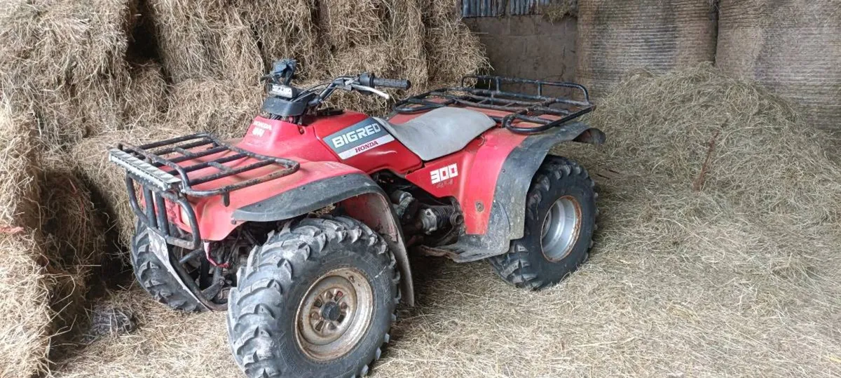 Quad bike