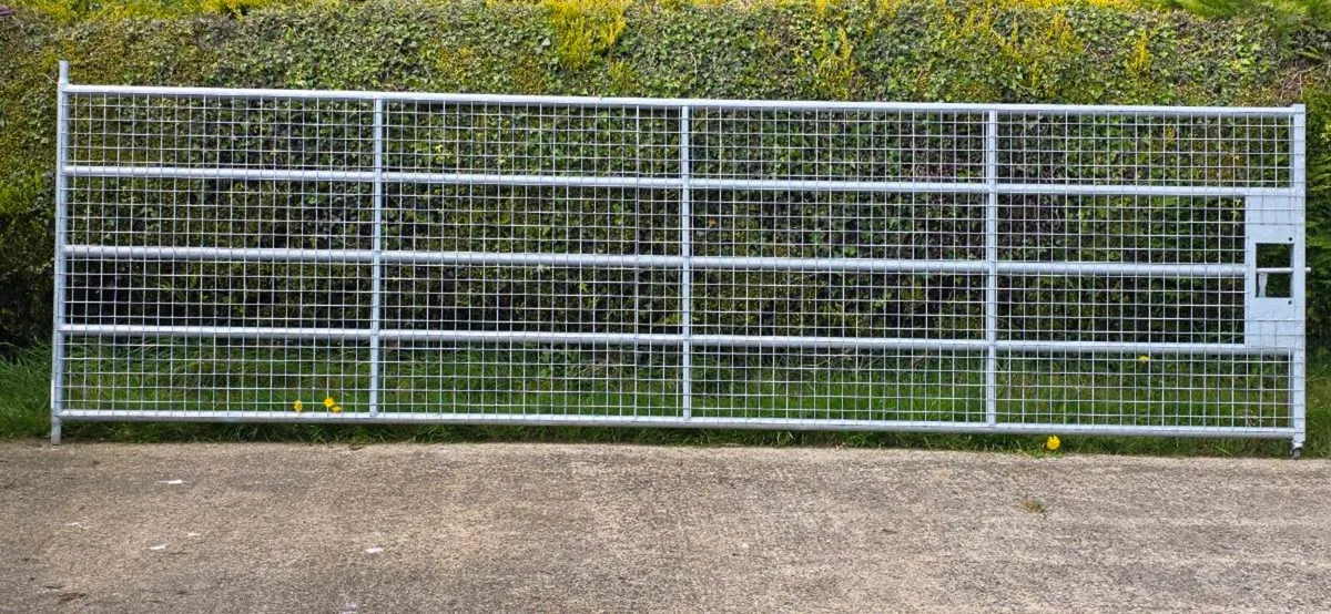 15 ft heavy galvanised gate with wire mesh - Image 1