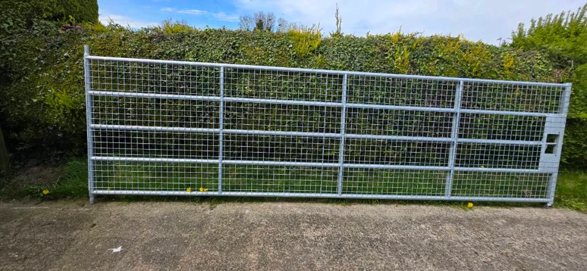 15 ft heavy galvanised gate with wire mesh - Image 2