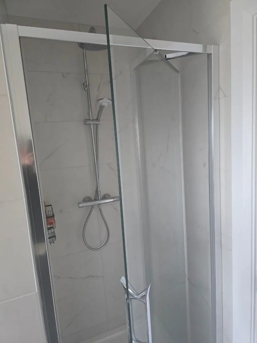 Shower Door - Image 1