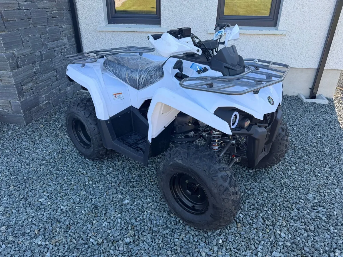 Mikilon Hammer Quad - Image 1