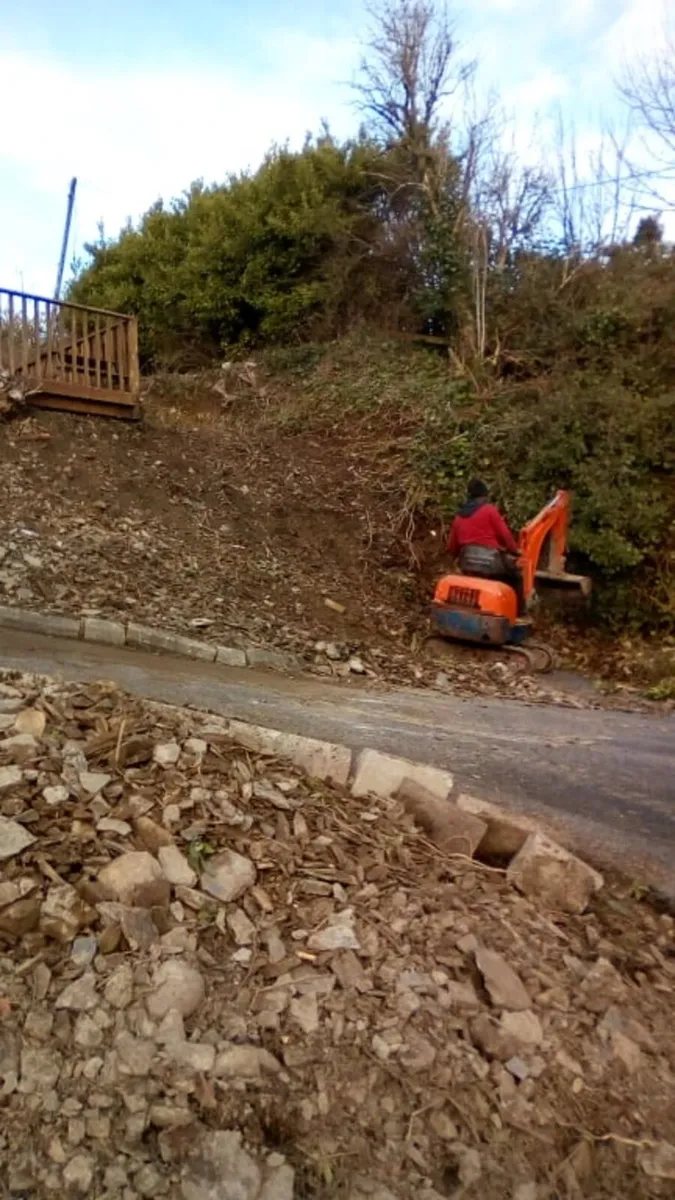 Diggers with drivers all work carried out - Image 1