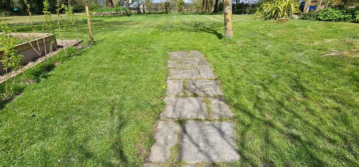 Indian Sandstone Paving - Image 1