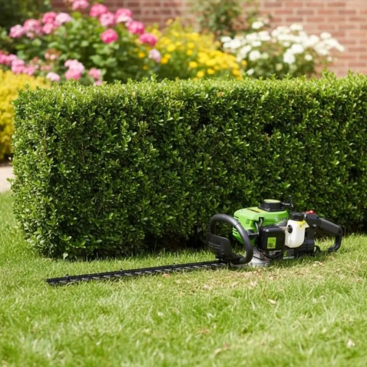 Draper 500mm Petrol Hedge Trimmer 22.5cc - Image 4