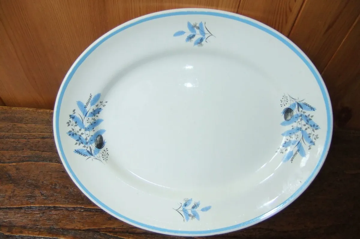 Arklow Pottery Rare Oval  Plate - Image 3