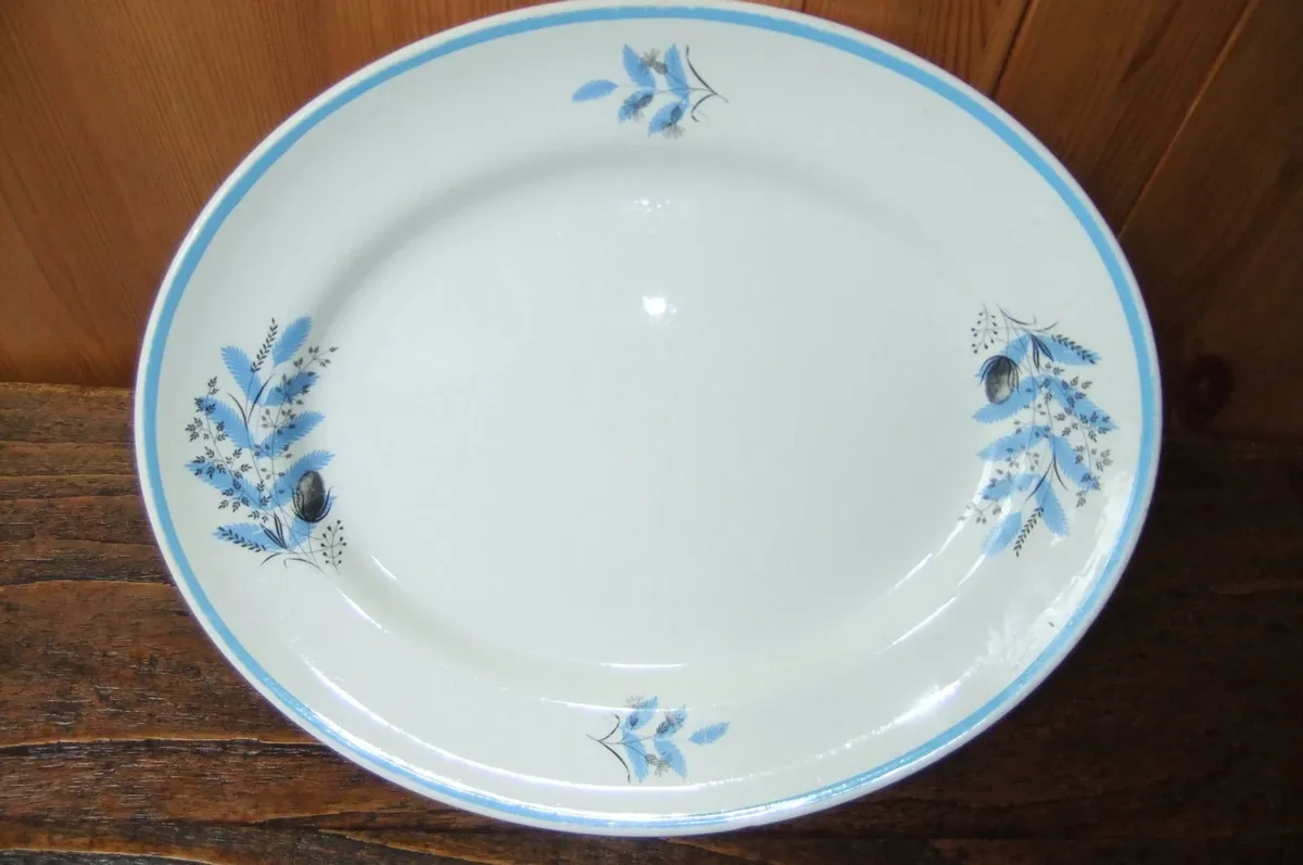 Arklow Pottery Rare Oval  Plate - Image 4
