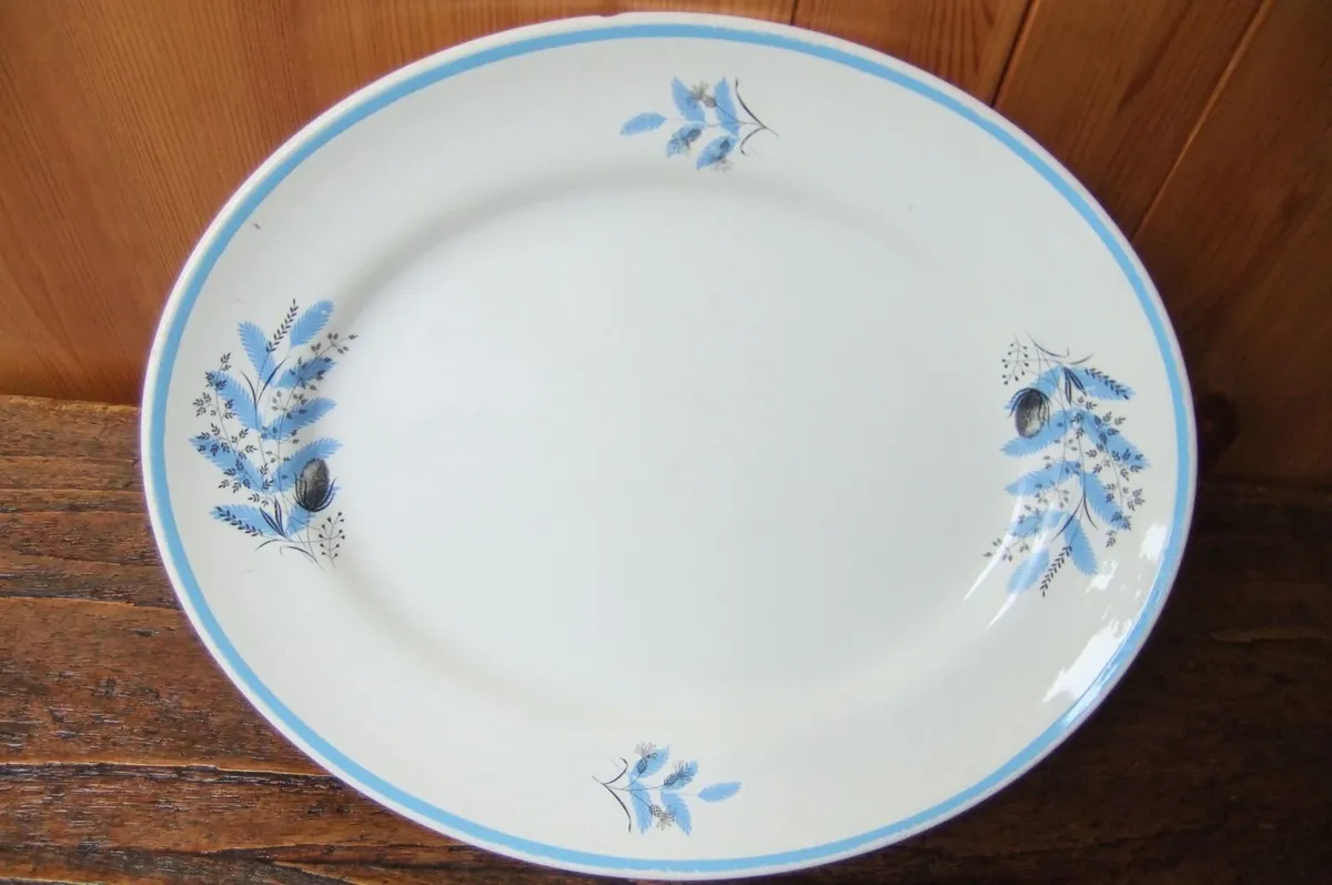 Arklow Pottery Rare Oval  Plate - Image 1