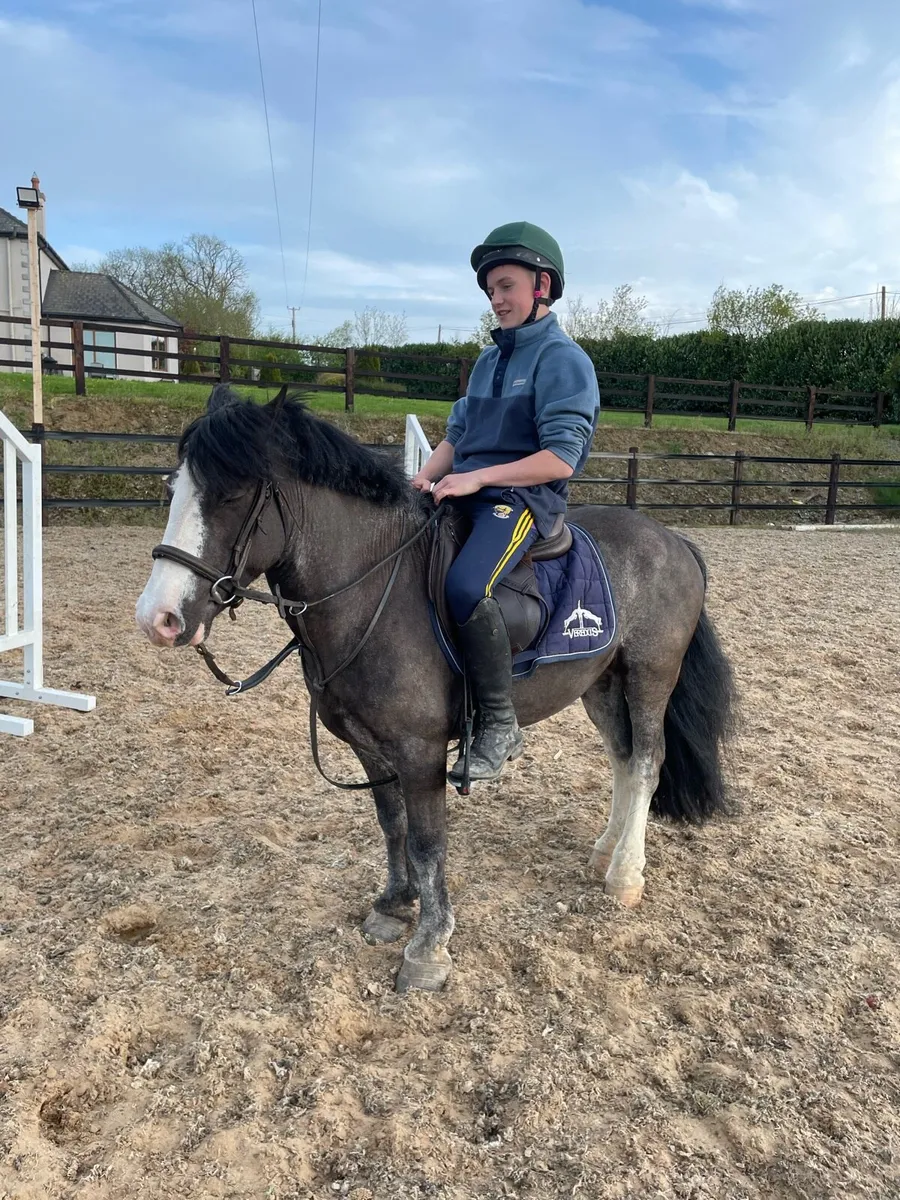 12.2 pony club pony - Image 1