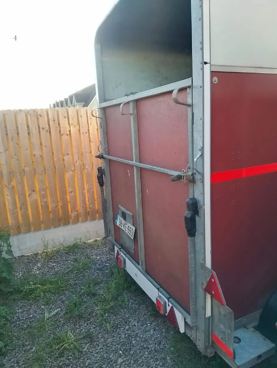 Ifor williams horse boxs - Image 4
