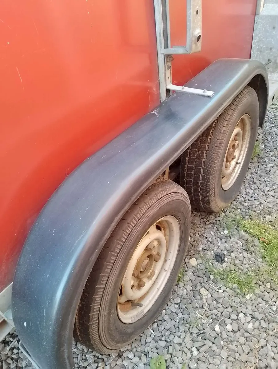 Ifor williams horse boxs - Image 3