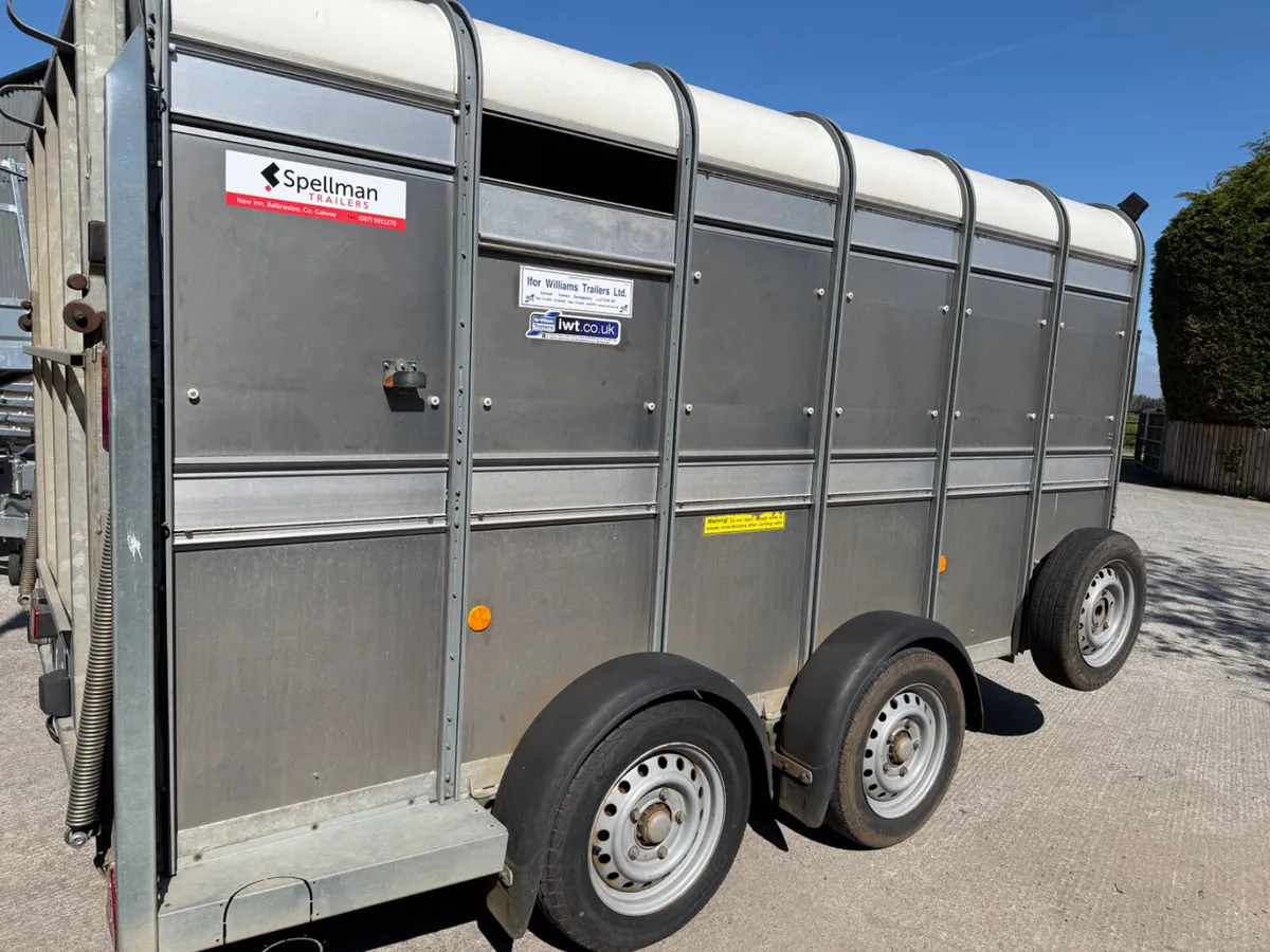 Ifor Williams livestock trailer - Image 1