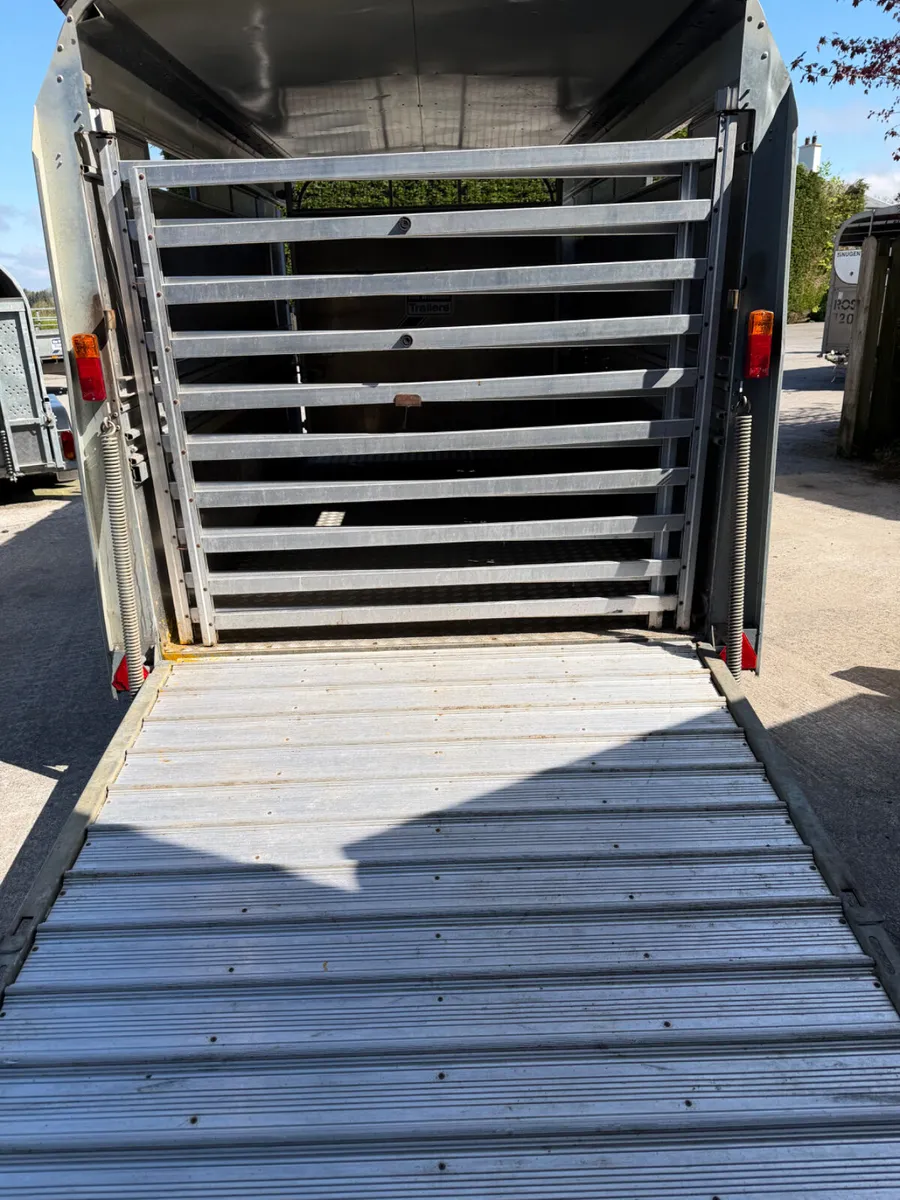 Ifor Williams livestock trailer - Image 2