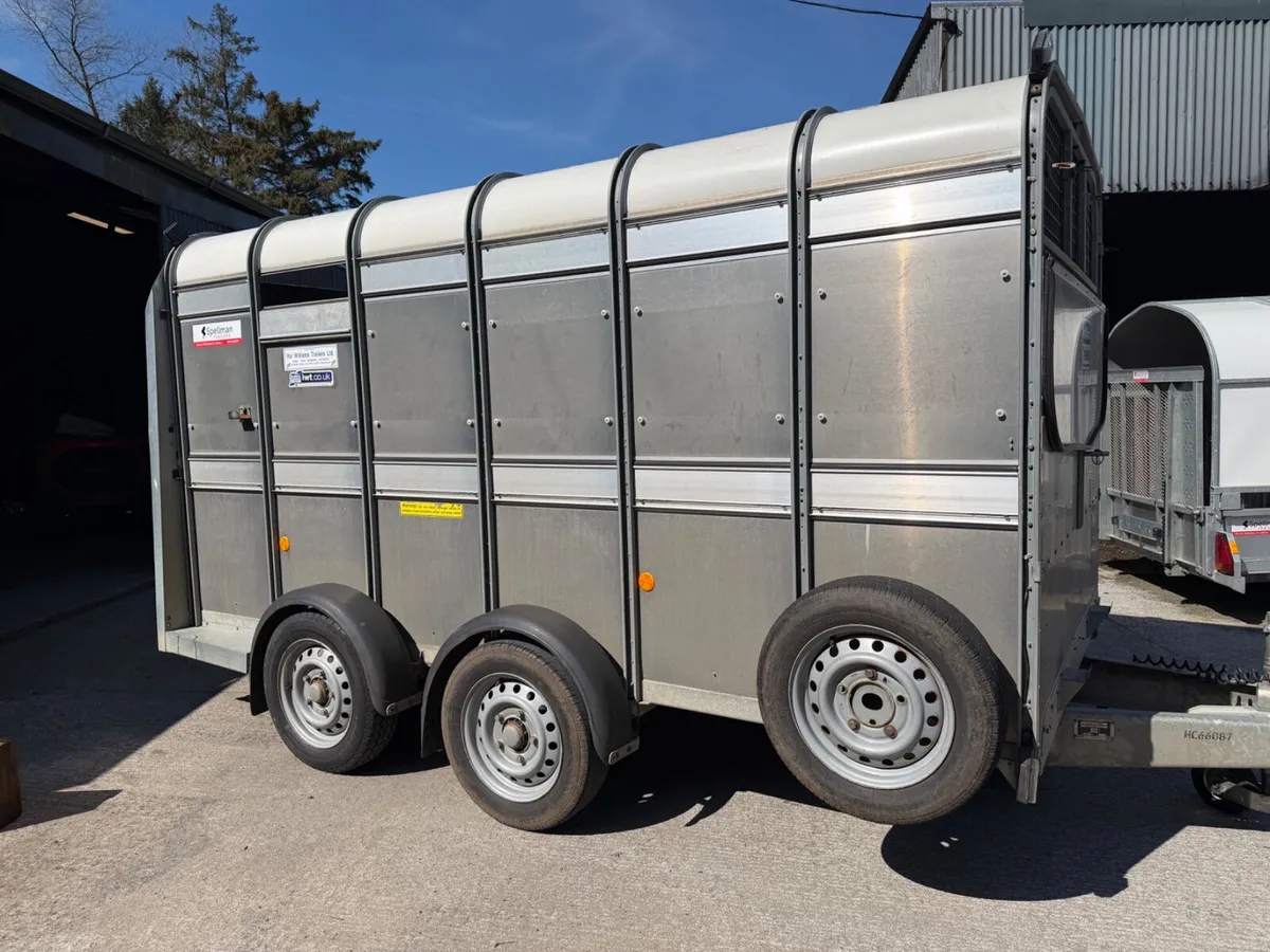 Ifor Williams livestock trailer - Image 4