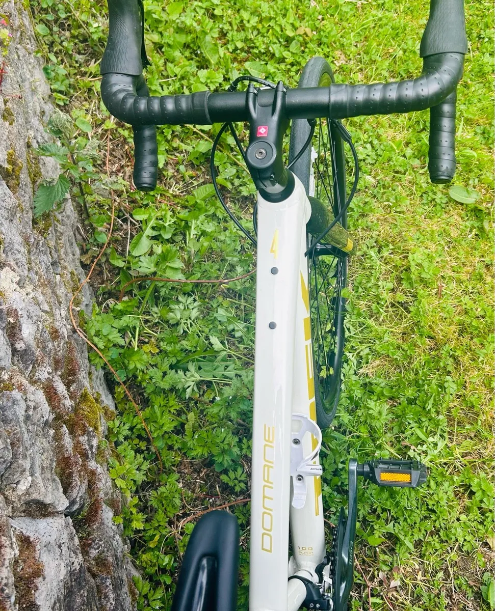 Trek Domane 4 - Image 2